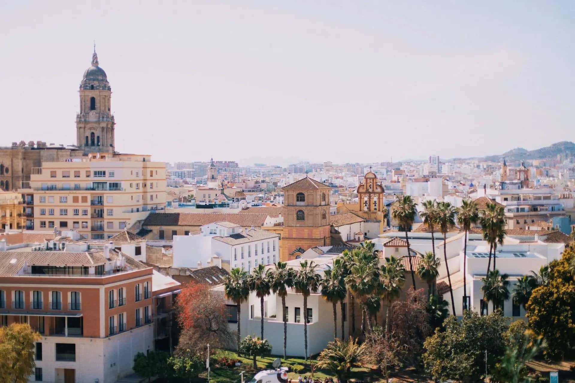 Lot do Malaga