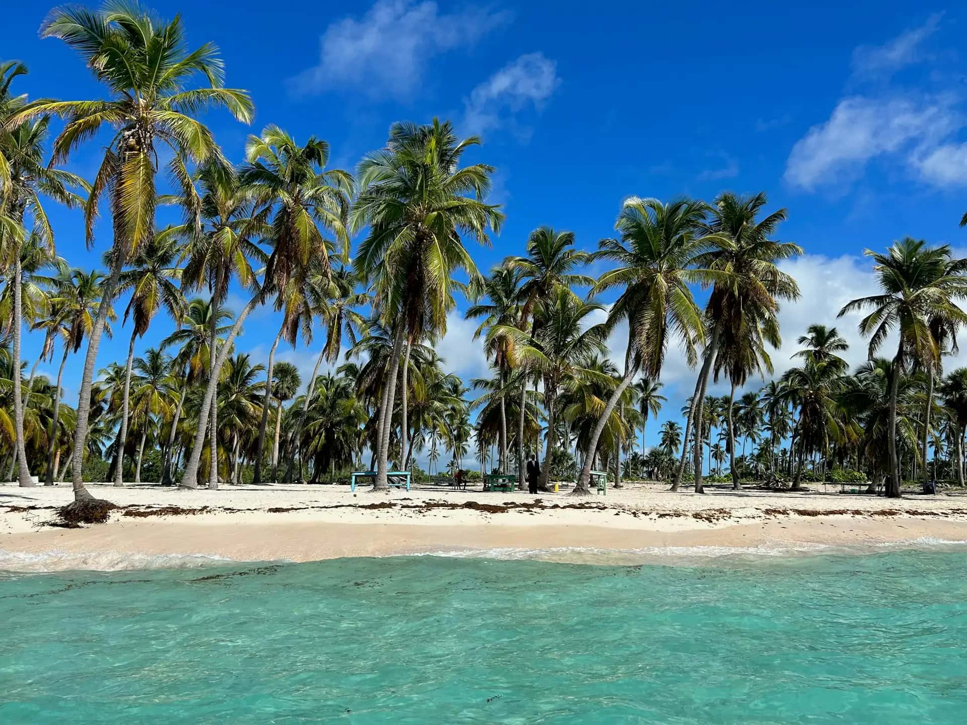 Wyspa Saona - popularna atrakcja turystyczna w Dominikana