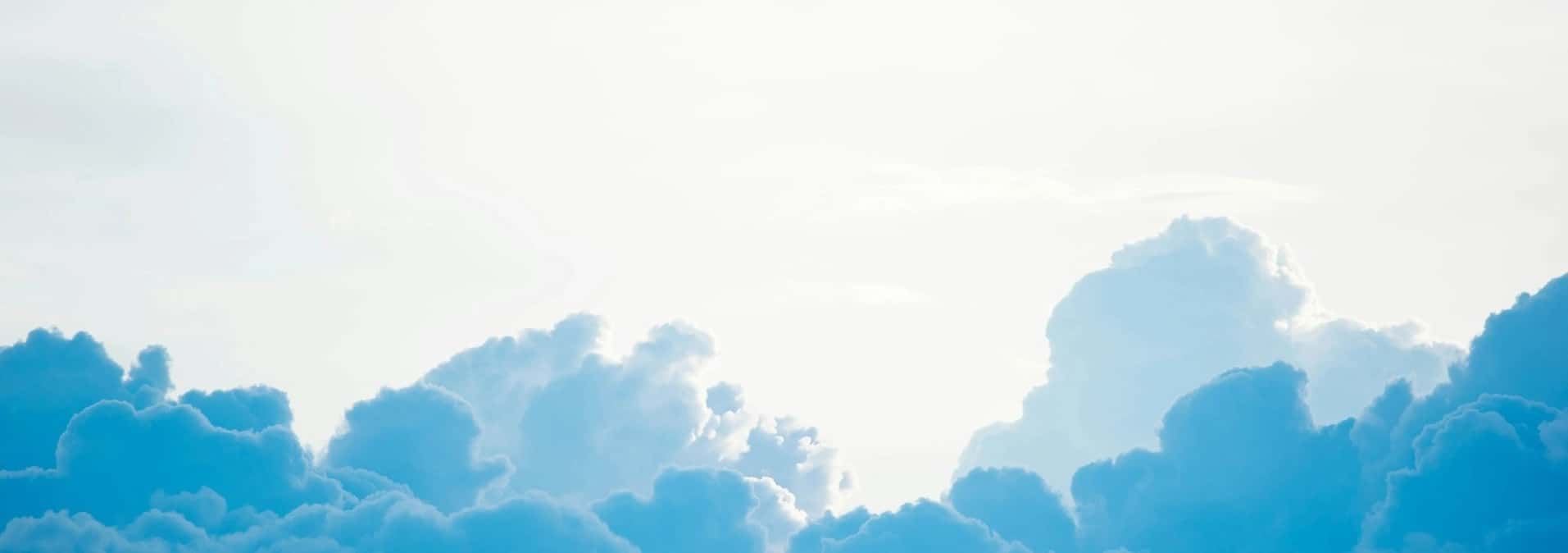 Polityka Prywatności