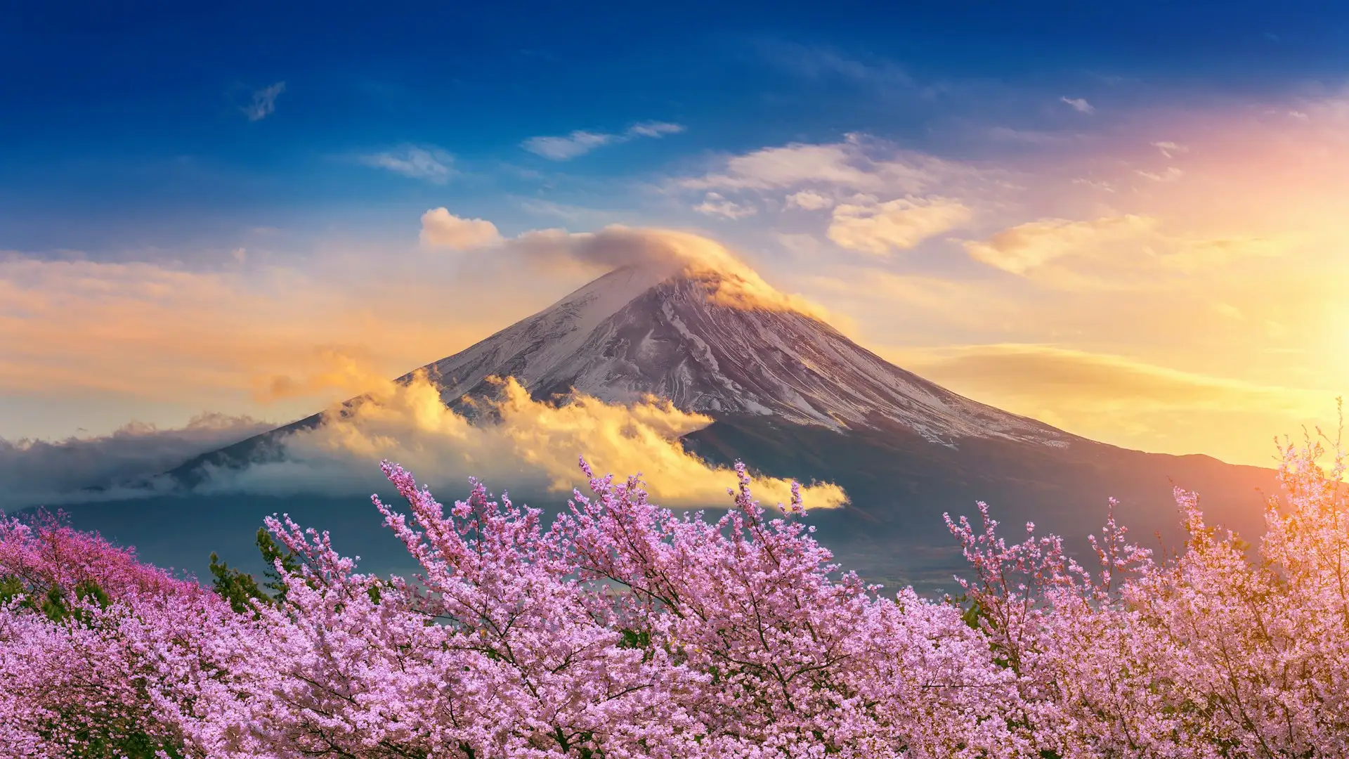 Loty do: Japonia